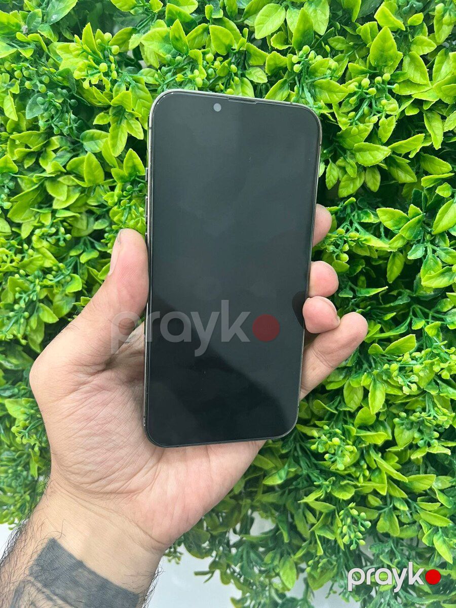 Apple iPhone 13 Pro Alpine Green 256GB/6GB — Smartfonlar, Bakı (2)