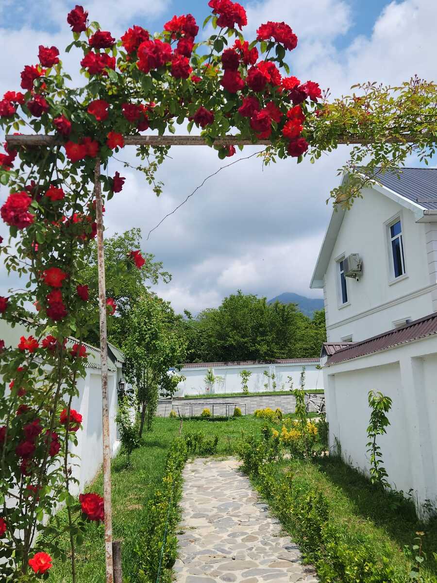 Villa kirayə verilir, Qəbələ ş — Ev, villa, Qəbələ (6)