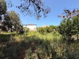 23 sot torpaq sahəsi, Mərdəkan qəs — Abşeron Bağları — Land plot