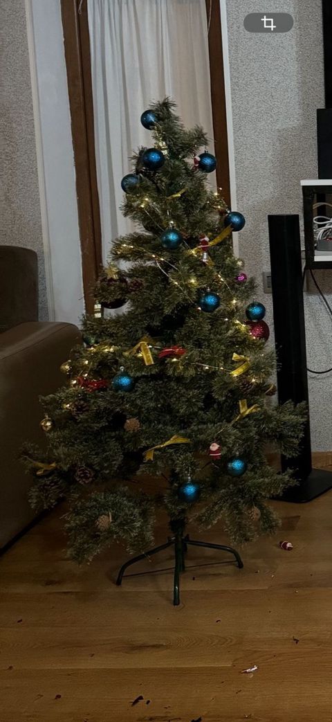 Yeni il ağacı — Bakı