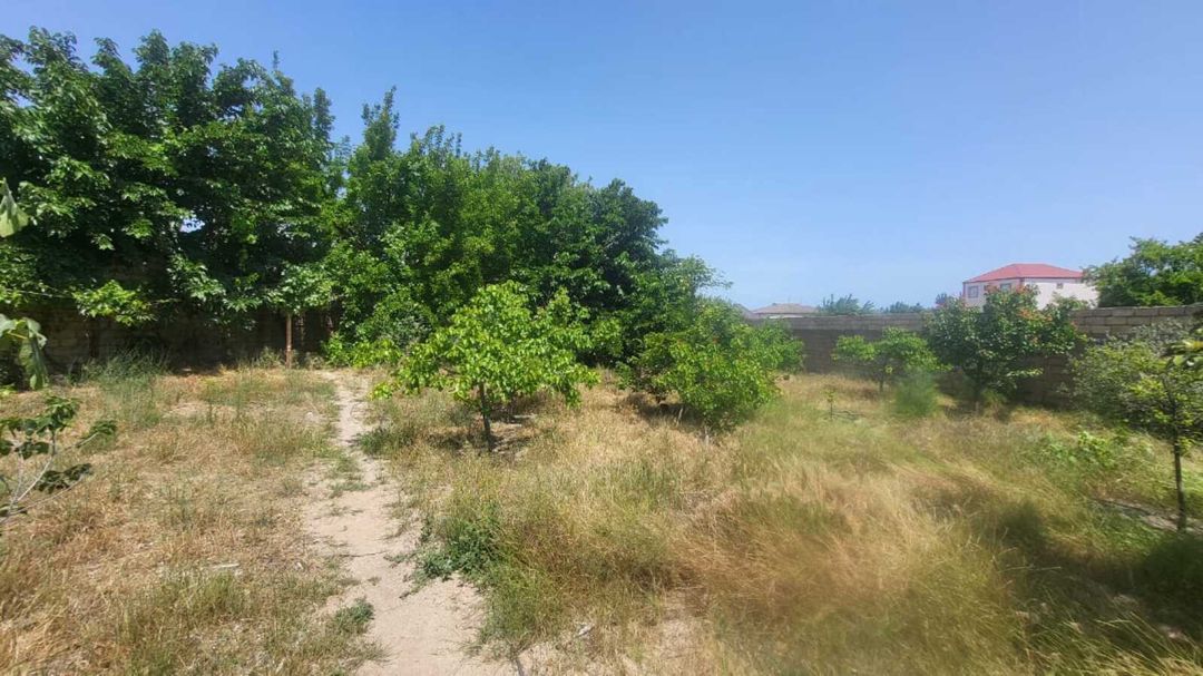 Satılır torpaq 25 sot — Torpaq, Bakı (3)