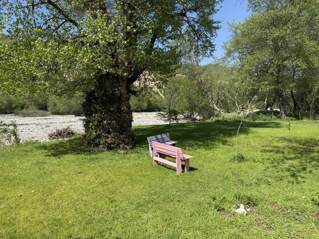 Satılır torpaq 6 sot — Torpaq, Qusar (10)