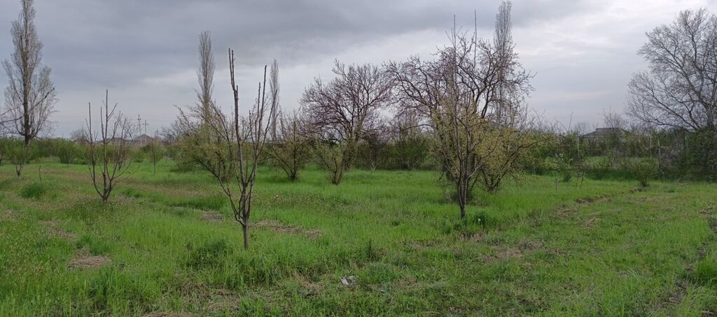 27 sot, Tikinti, Kupça (Çıxarış) — Torpaq, Xudat (5)