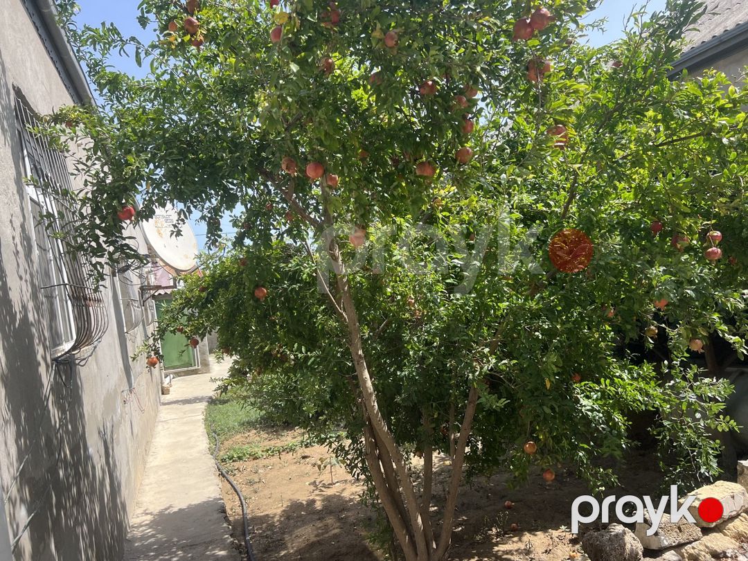 Həyət evi, Yeni Suraxanı qəs — Ev, villa, Bakı (4)