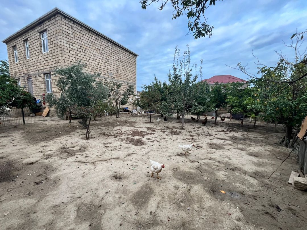 Həyət evi, Saray qəs — Ev, villa, Bakı (3)
