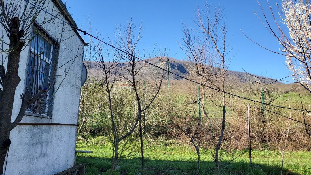 Bağ evi, Şabran r — Ev, villa, Şabran (2)