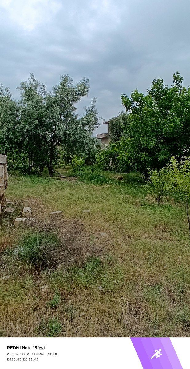 Satılır torpaq 6 sot — Torpaq, Bakı (9)
