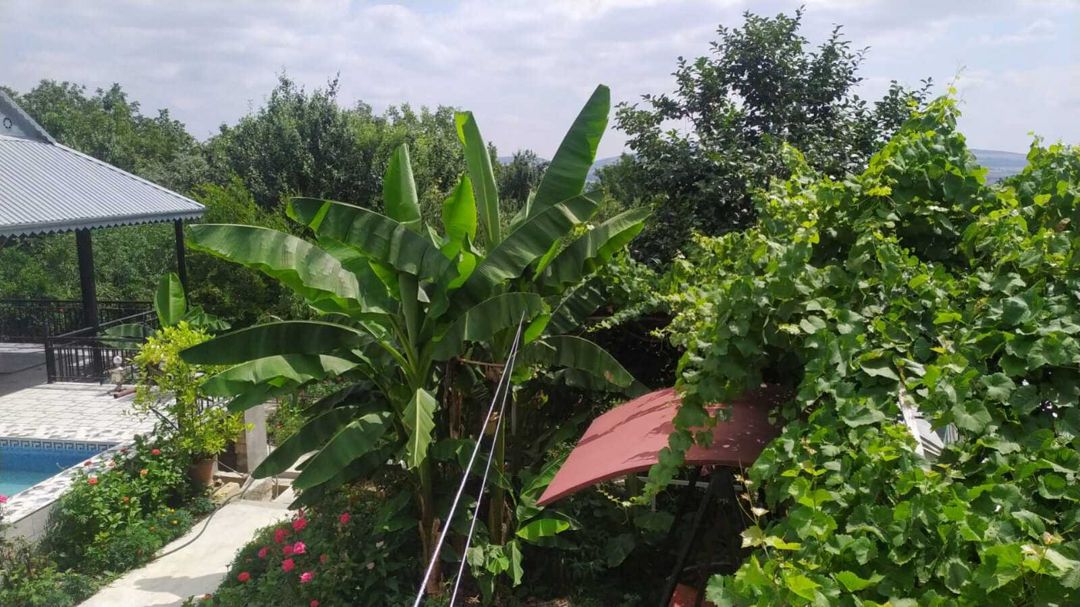 Həyət evi kirayə verilir, İsmayıllı r — Ev, villa, İsmayıllı (5)