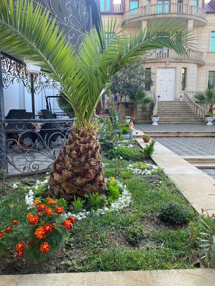 Satılır 6 otaqlı həyət evi/bağ evi 550 m² — Ev, villa, Bakı (8)