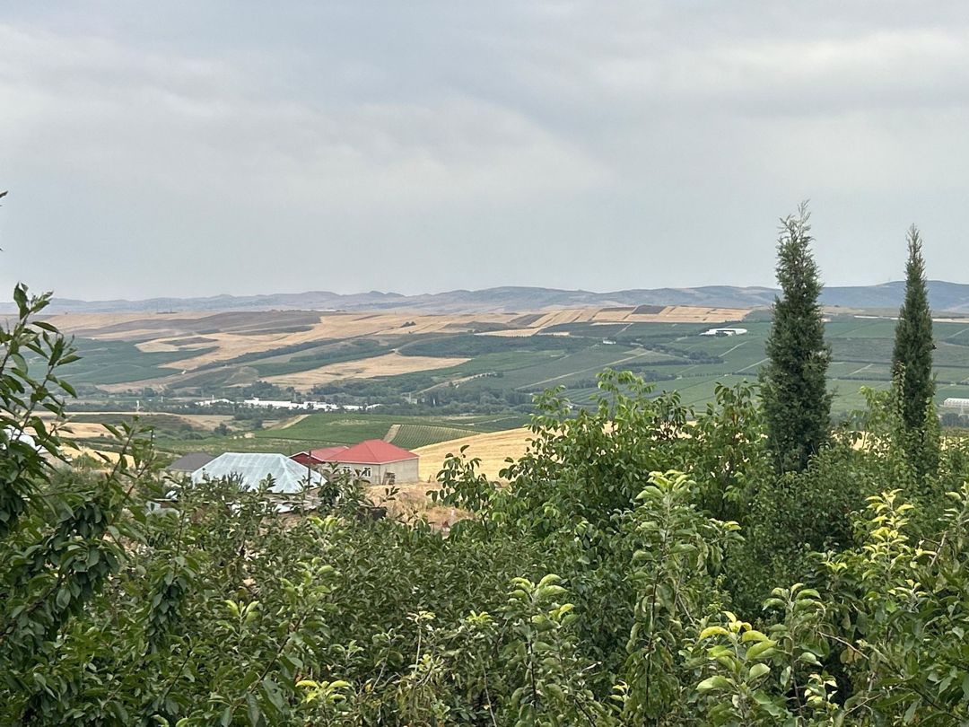 Bağ evi kirayə verilir, Şamaxı r — Ev, villa, Şamaxı (4)