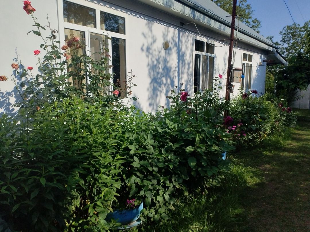 Həyət evi kirayə verilir, Vəndam qəs — Ev, villa, Qəbələ (4)