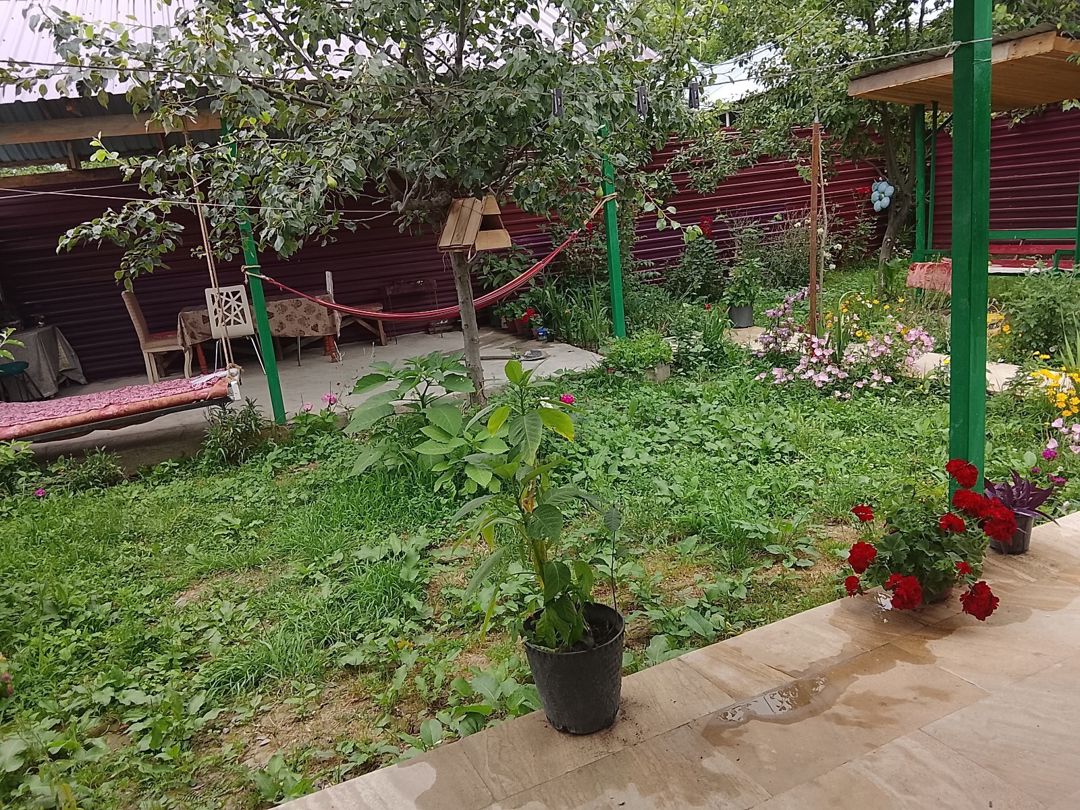 Bağ evi kirayə verilir, Qəbələ ş — Ev, villa, Qəbələ (3)