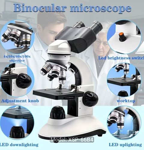 Mokroskop İkiokulyarlı Bioloji Mikroskop – Model: XSP-66B4 — Bakı