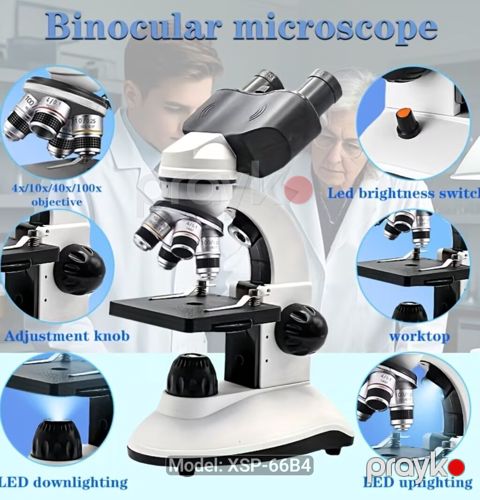 Mokroskop İkiokulyarlı Bioloji Mikroskop – Model: XSP-66B4 — Bakı