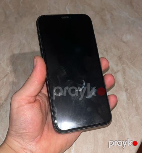 IPhone 11, Qara, Face ID
