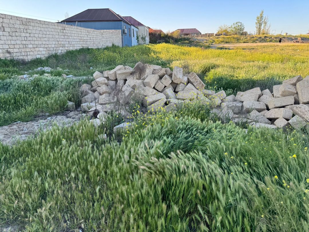 Satılır torpaq 6 sot — Torpaq, Bakı (3)