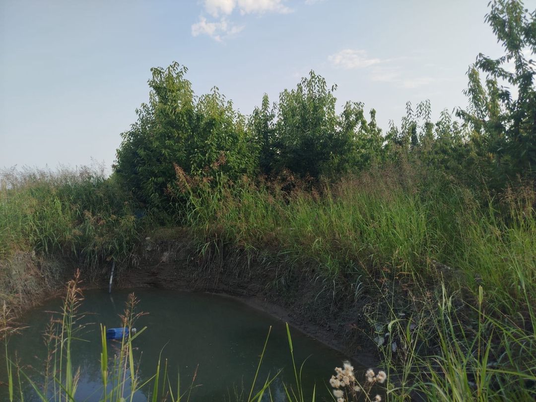 85 sot torpaq sahəsi, Qusar r — Torpaq, Qusar (10)