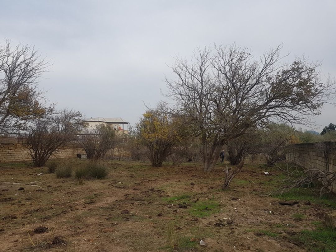 Satılır torpaq 94.5 sot — Torpaq, Bakı (3)