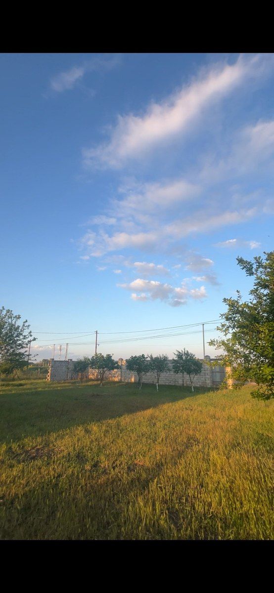 Həyət evi, Masallı r — Ev, villa, Masallı (3)