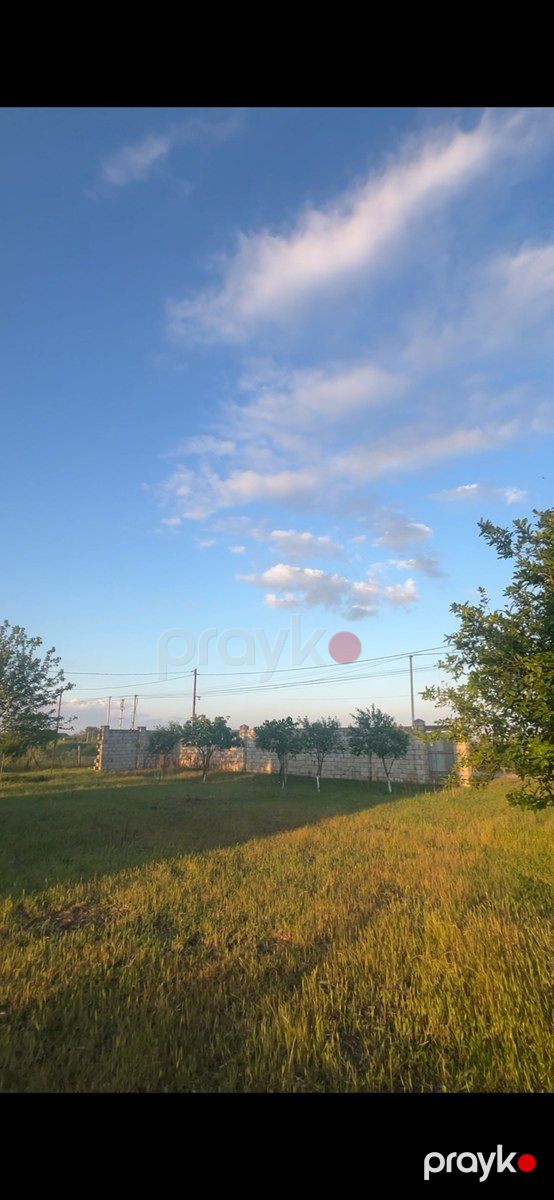 Həyət evi, Masallı r — Ev, villa, Masallı (3)