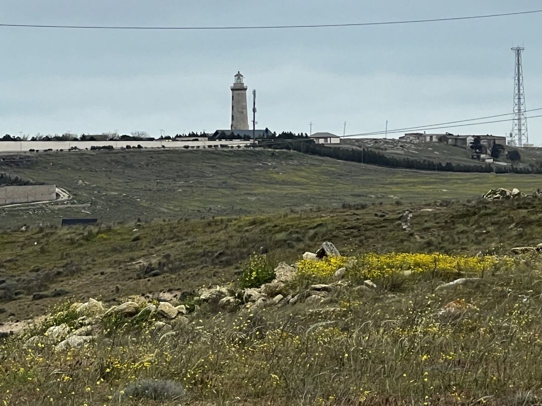 Satılır torpaq 5 sot — Torpaq, Bakı (2)