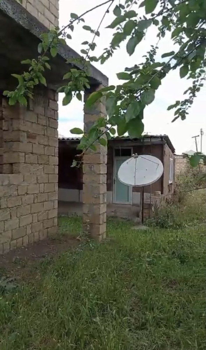 Satılır torpaq 12 sot — Torpaq, Cəlilabad (5)