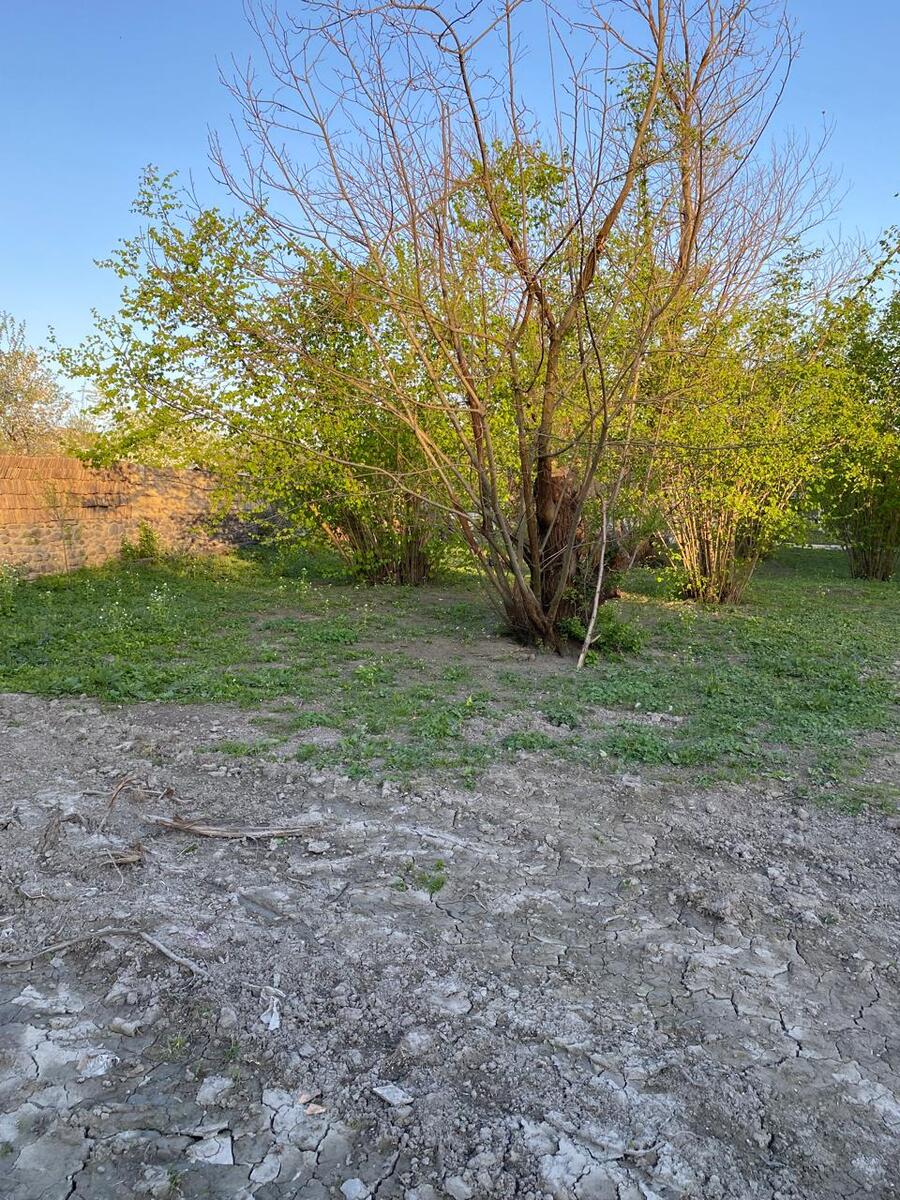 Satılır torpaq 24 sot — Torpaq, Qəbələ (2)