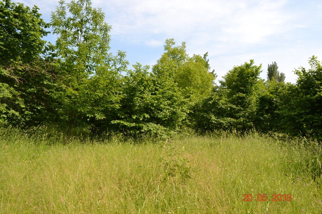 Satılır 4 otaqlı həyət evi/bağ evi 120 m² — Ev, villa, Oğuz (9)