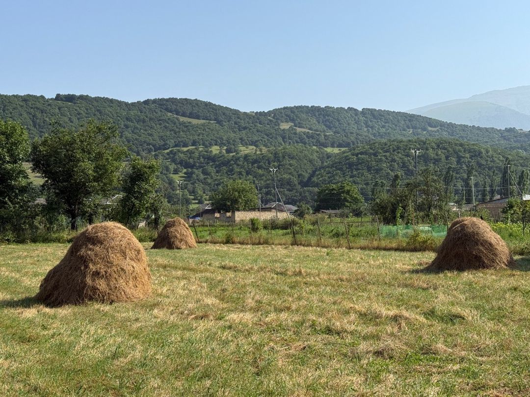 21 sot torpaq sahəsi, Qusar r — Torpaq, Qusar (4)