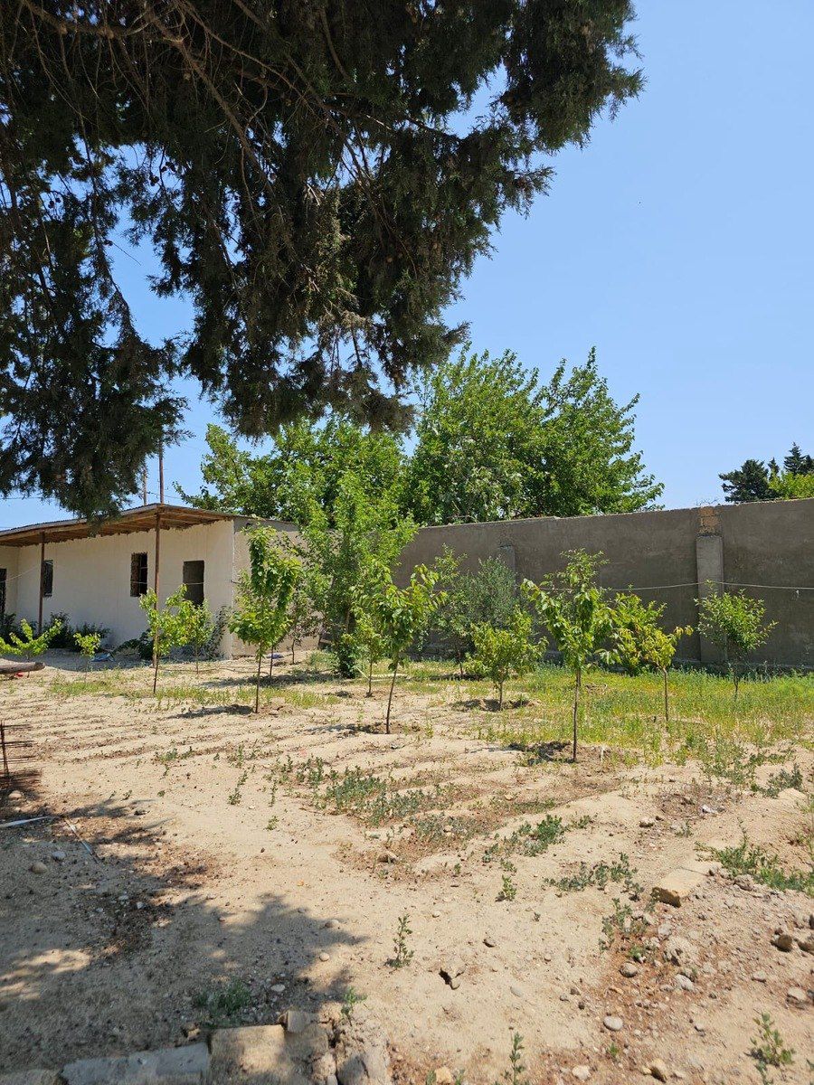 Satılır torpaq 20 sot — Torpaq, Bakı (3)