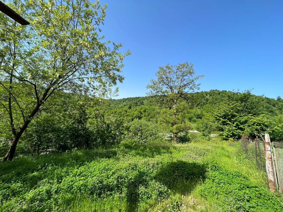 Bağ evi kirayə verilir, Lerik r — Ev, villa, Lerik (6)