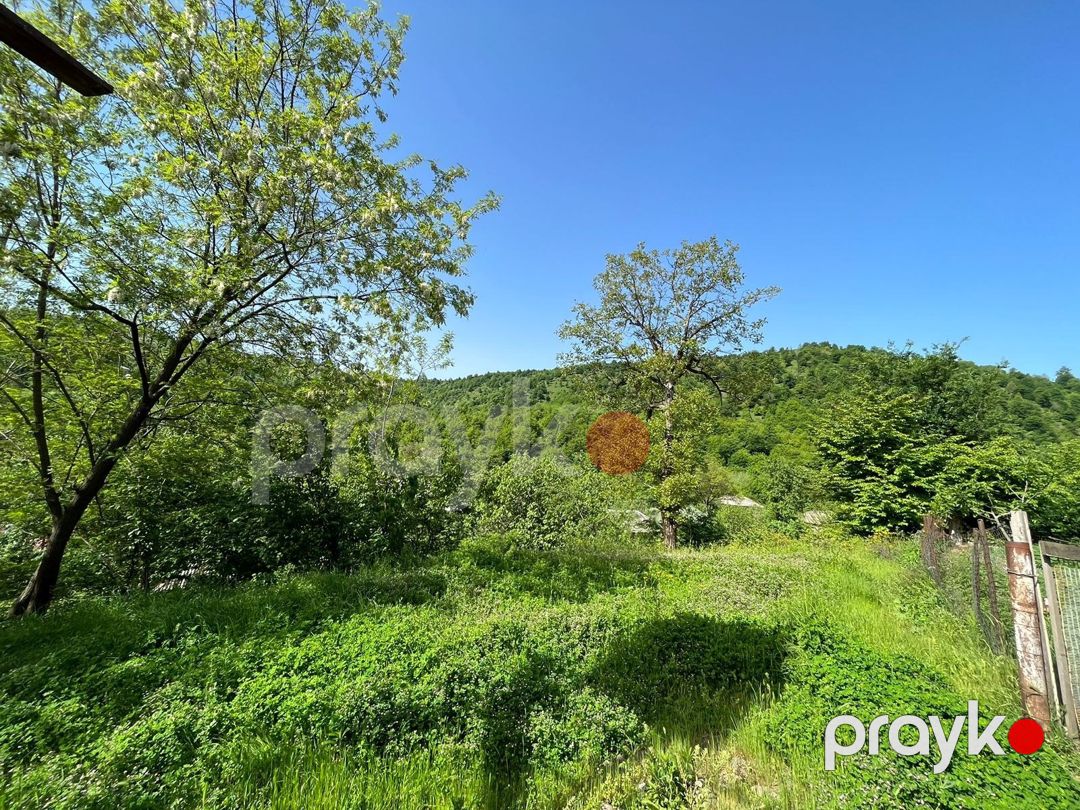 Bağ evi kirayə verilir, Lerik r — Ev, villa, Lerik (6)