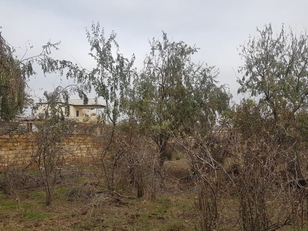 Satılır torpaq 380 sot — Torpaq, Bakı (4)