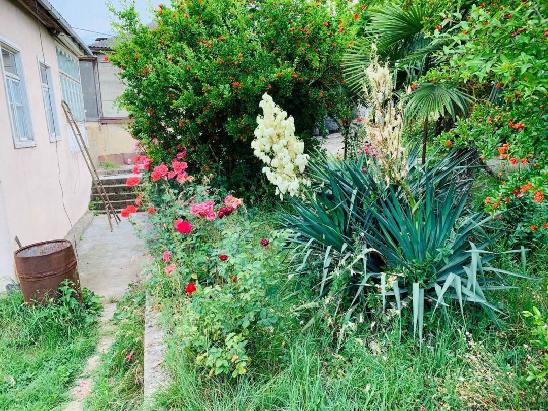 Satılır 6 otaqlı həyət evi/bağ evi 18000 m² — Ev, villa, Quba (7)