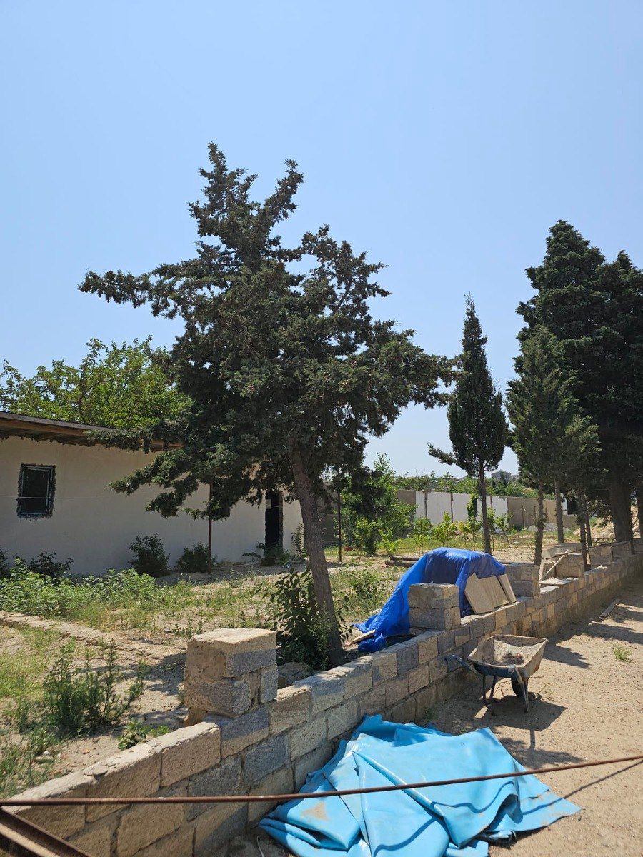Satılır torpaq 20 sot — Torpaq, Bakı (4)