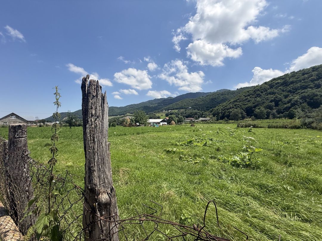 Satılır torpaq 21 sot — Torpaq, Qusar (9)