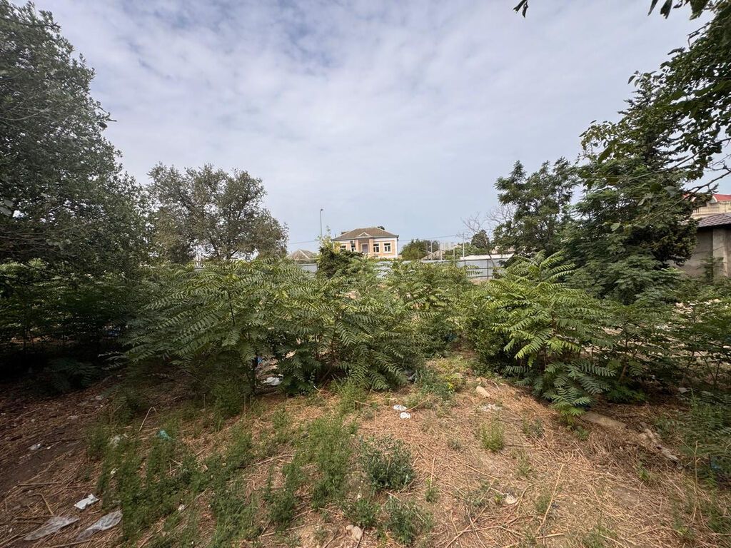 31 sot, Tikinti, Makler, Kupça (Çıxarış) — Torpaq, Bakı (7)