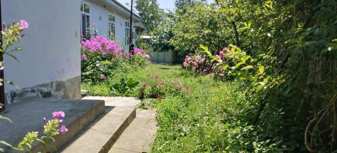 Həyət evi kirayə verilir, Vəndam qəs — Ev, villa, Qəbələ (2)