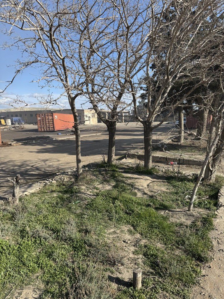 Satılır torpaq 689 sot — Torpaq, Bakı (8)