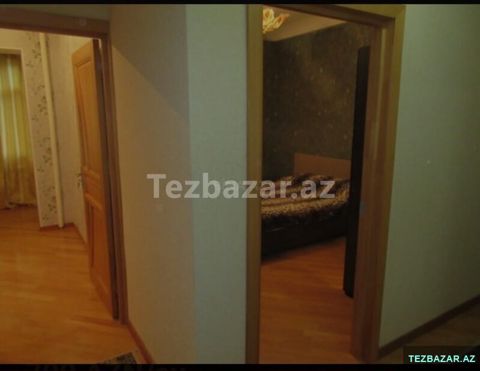 Otaq yoldaşı xanım — Bakı