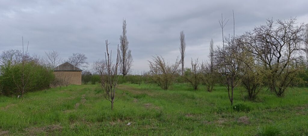 27 sot, Tikinti, Kupça (Çıxarış) — Torpaq, Xudat (6)