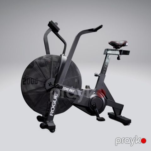 Rogue Echo Bike kardio üçün avadanlıq — Bakı