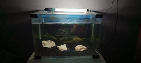 Dördbucaq akvarium, Boş, 33 l, Ünvandan götürmə — Bakı