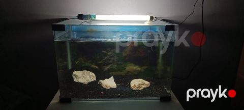 Dördbucaq akvarium, Boş, 33 l, Ünvandan götürmə — Bakı
