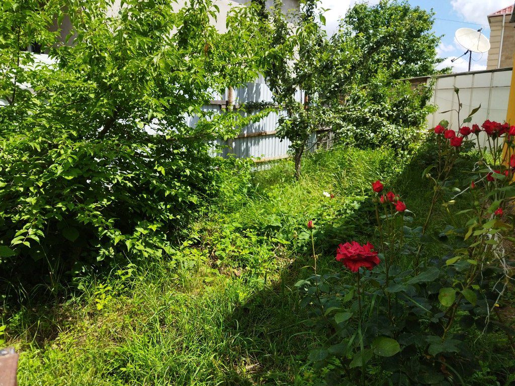 Həyət evi kirayə verilir, Qusar ş — Ev, villa, Qusar (10)