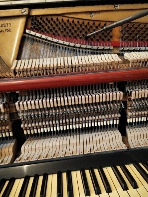 Piano və royal köklənməsi — Bakı
