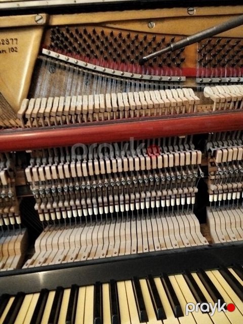 Piano və royal köklənməsi — Bakı