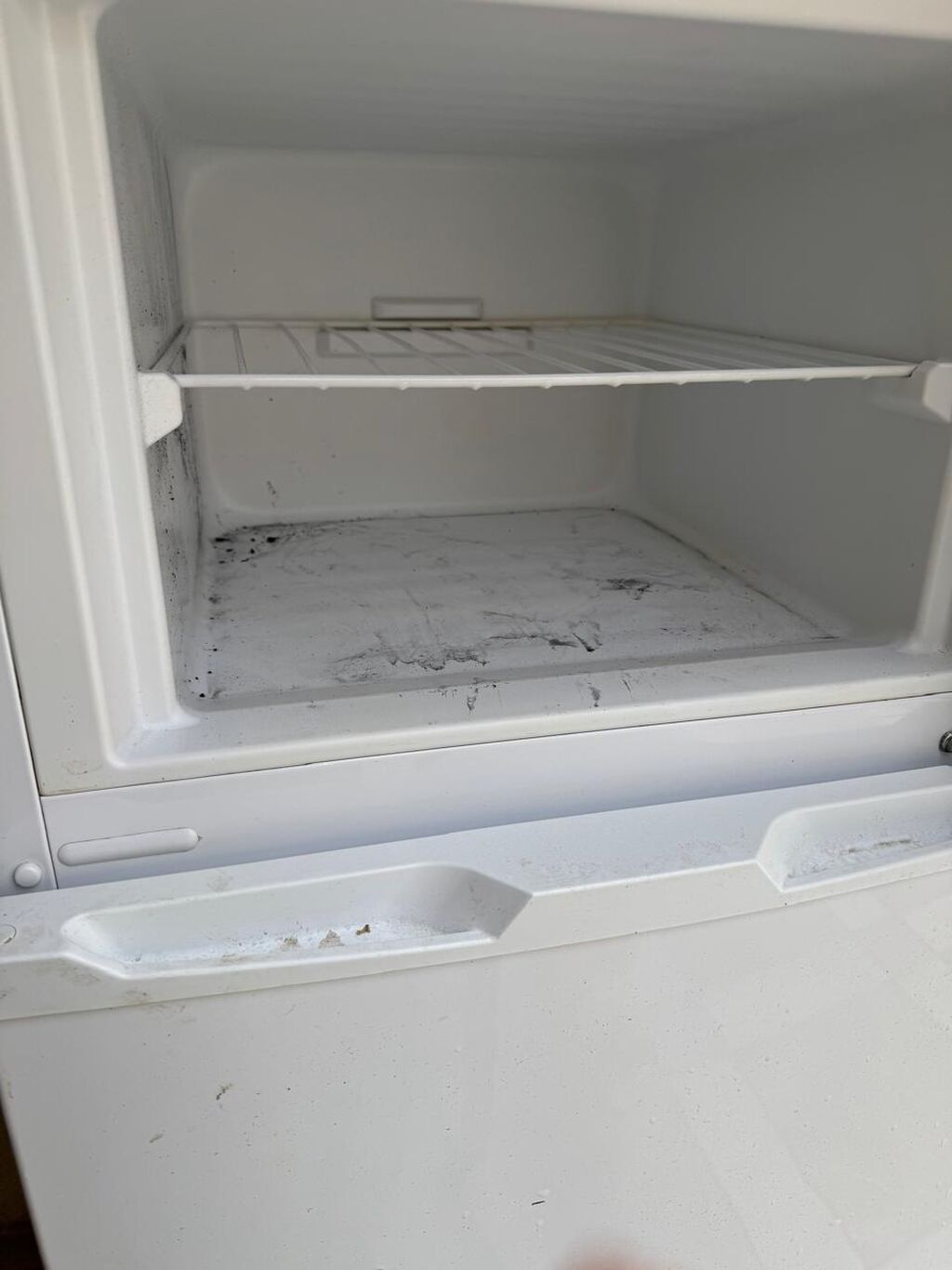 Regal iki qapılı soyuducu. heç 1problemi yoxdu. yeni alınıb. az — Soyuducular, Bakı (3)