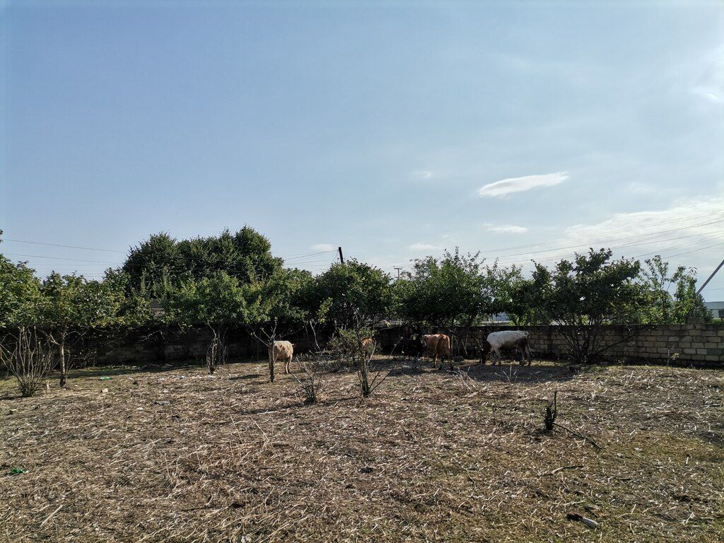 Həyət evi, Quba ş — Ev, villa, Quba (6)