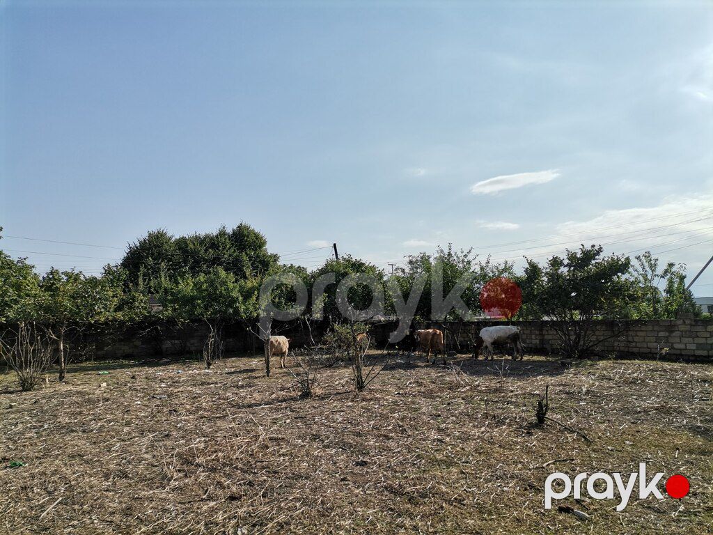 Həyət evi, Quba ş — Ev, villa, Quba (6)